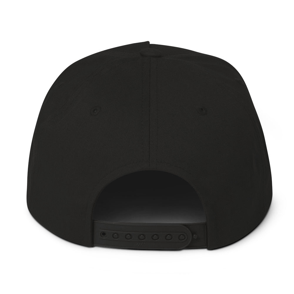 SB-03 Institution Flat Bill in black, back view