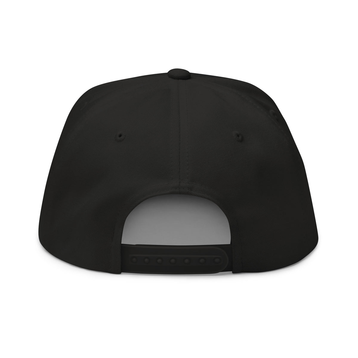 SB-03 Institution Flat Bill in black, back view