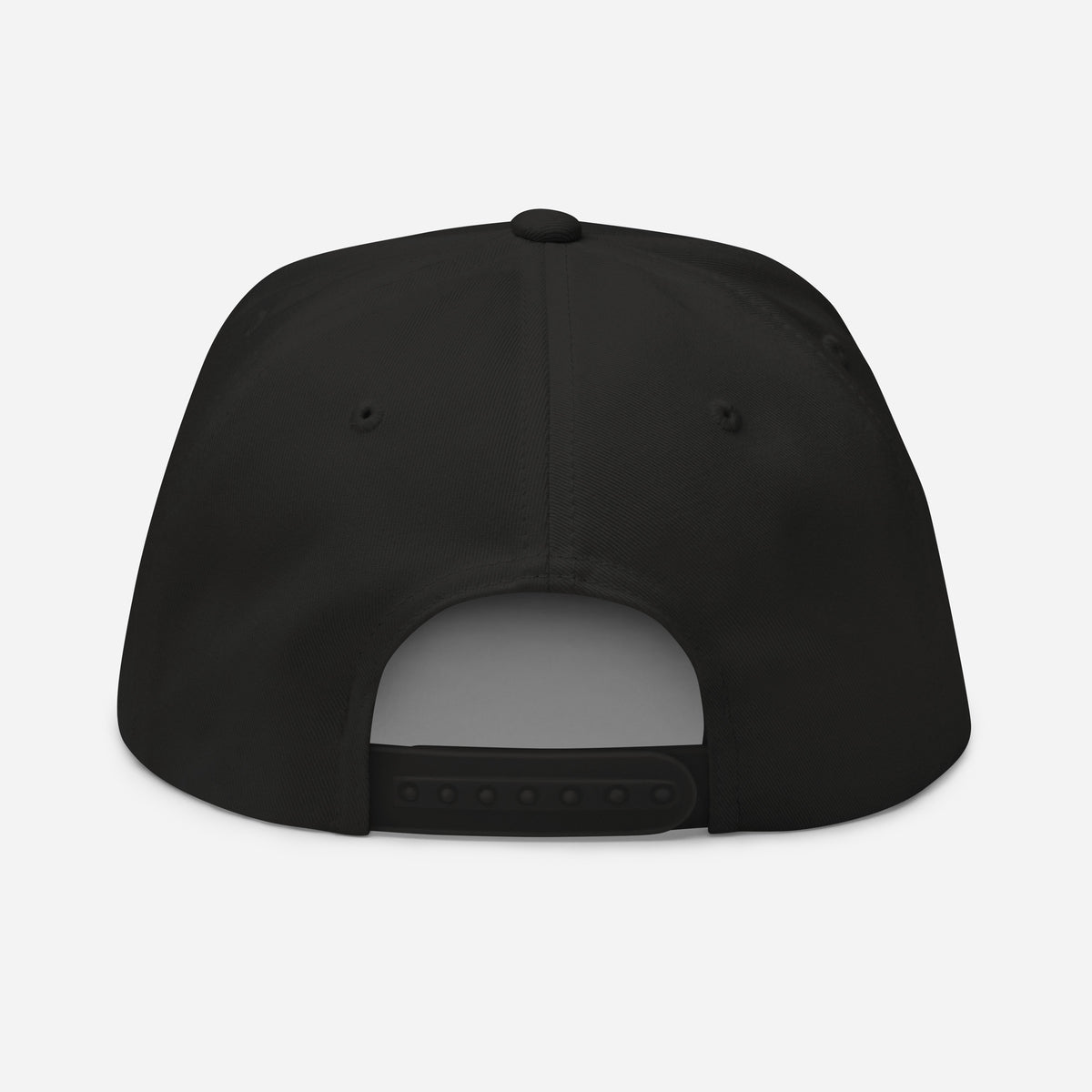 SB-03 Institution Flat Bill in black, back view
