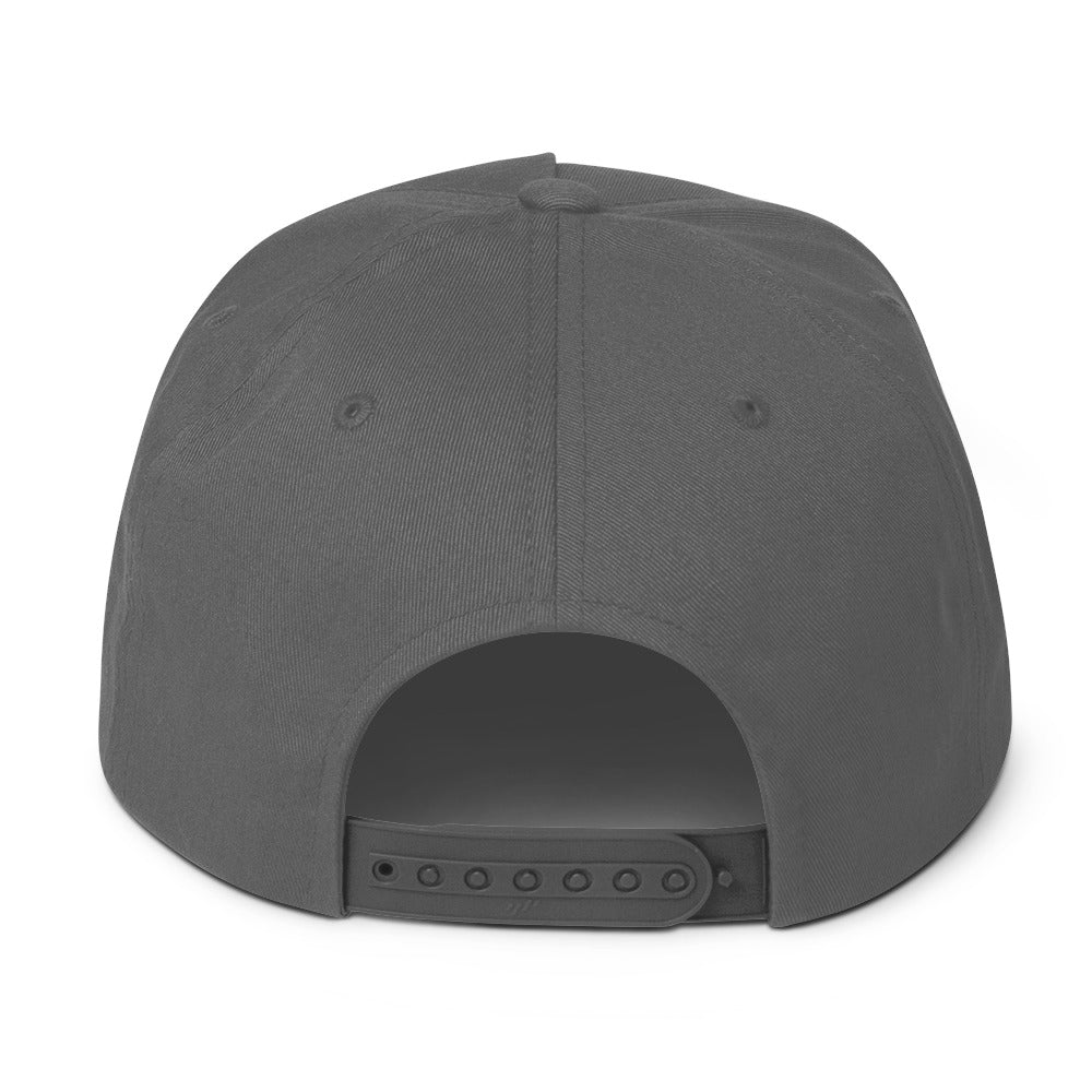 SB-03 Institution Flat Bill in grey, back view
