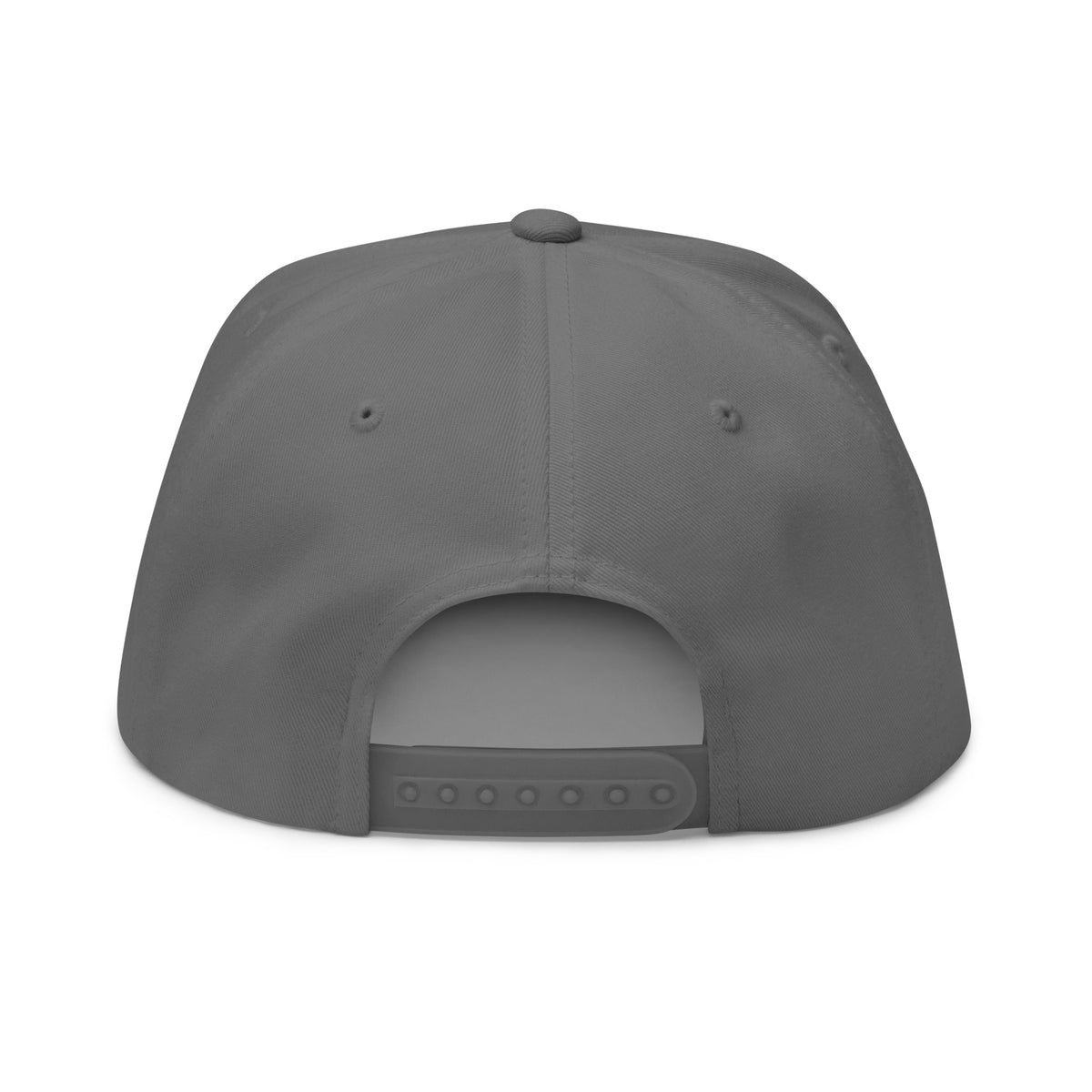 SB-03 Institution Flat Bill in grey, back view