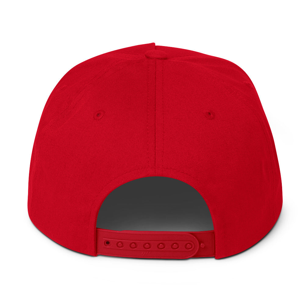 SB-03 Institution Flat Bill in red, back view