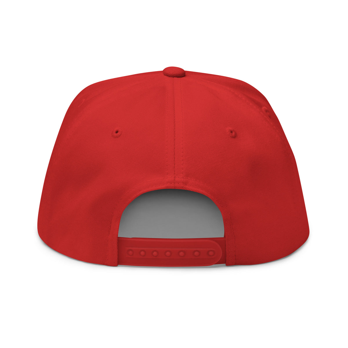 SB-03 Institution Flat Bill in red, back view