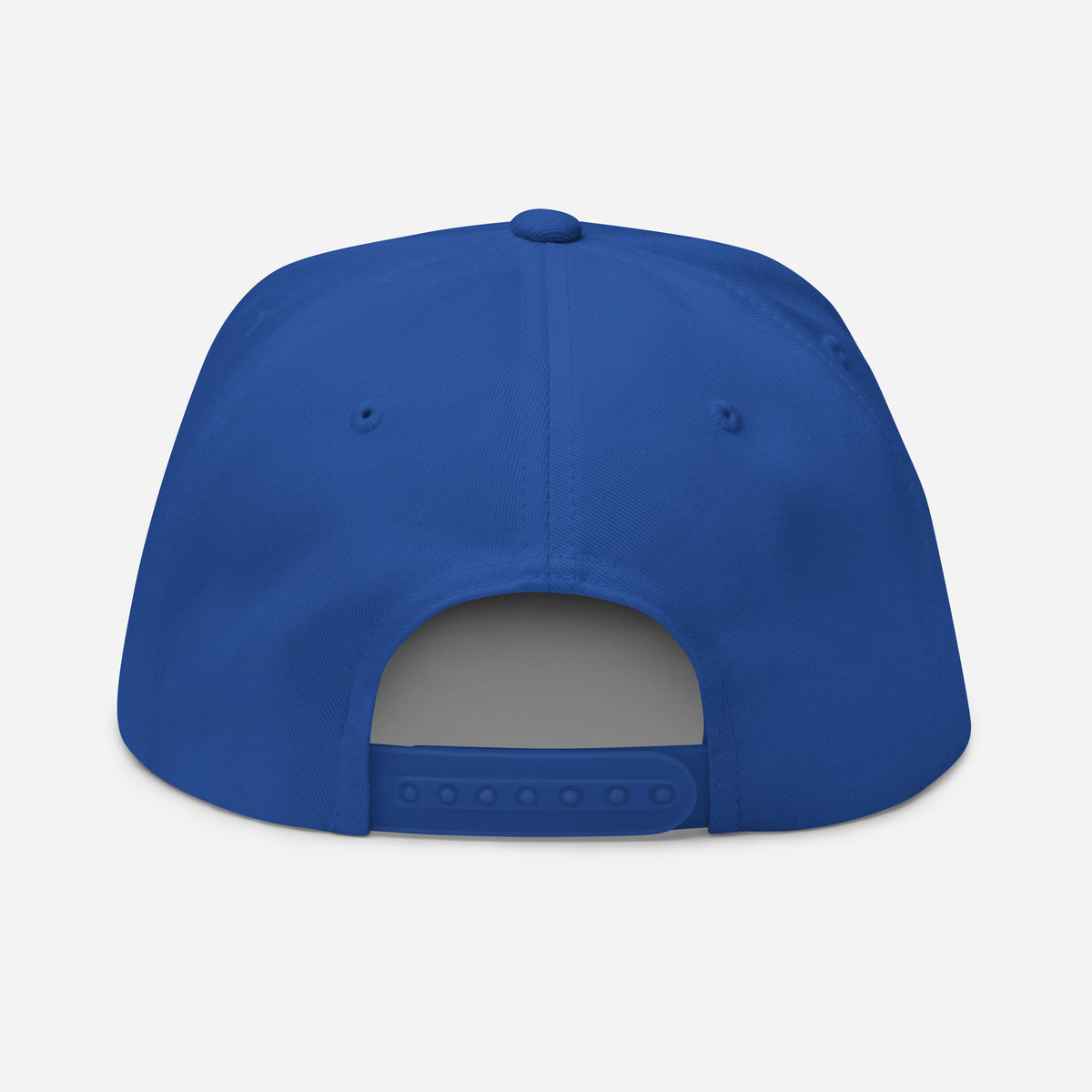 SB-03 Institution Flat Bill in royal blue, back view
