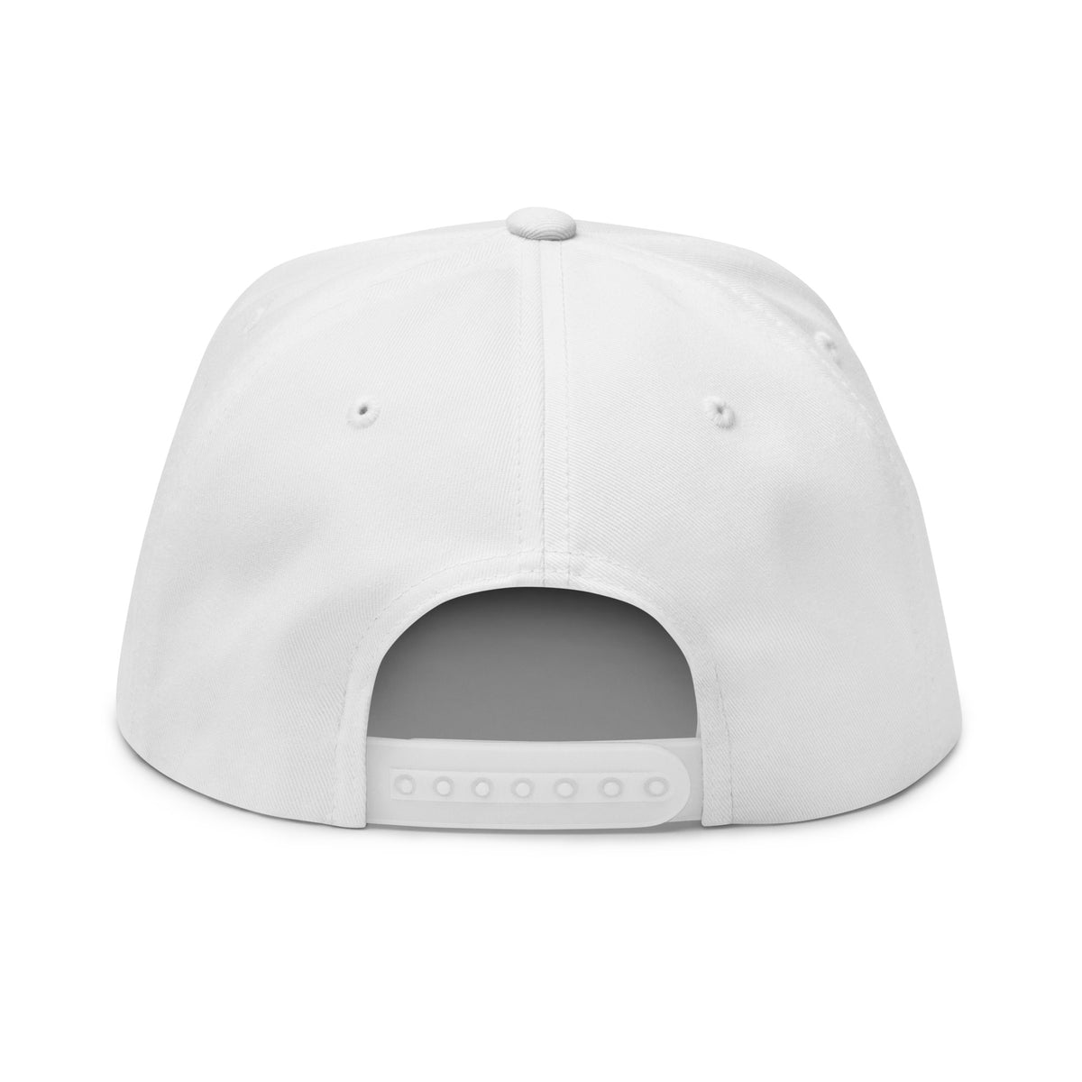 SB-03 Institution Flat Bill in white, back view