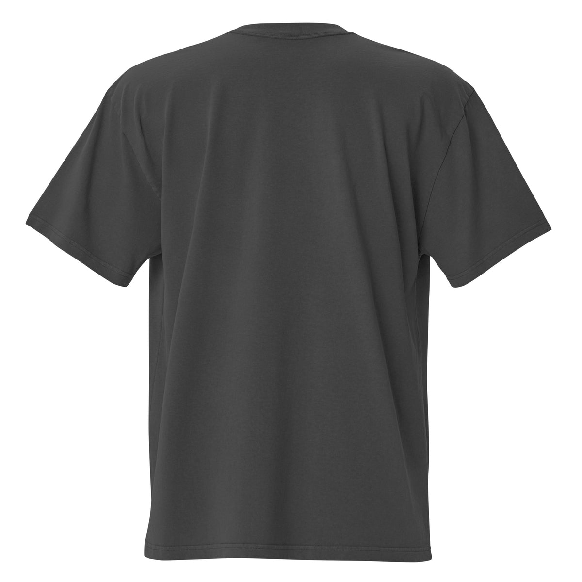 SB-02 Private Client Oversized Tee in faded black, back view