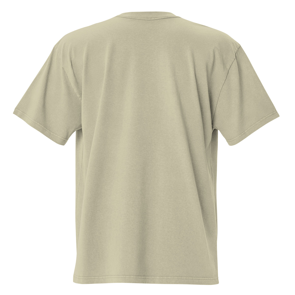 SB-01 Archive Index Oversized Tee in faded eucalyptus, back view