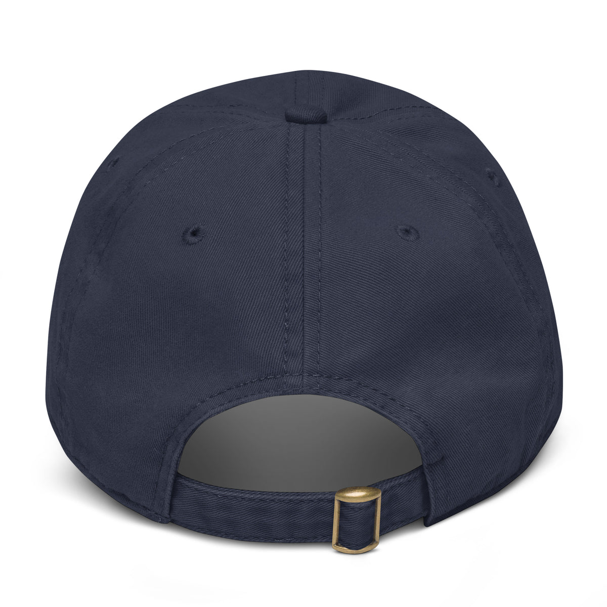Noise Lab Garment-Washed Baseball Cap in navy, back view