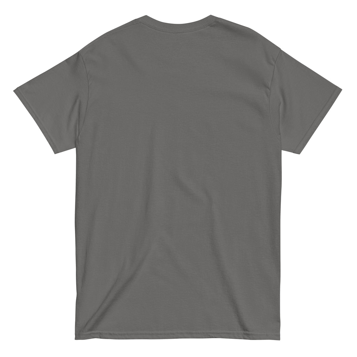 SB-06 Artist Asset Department Tee in charcoal, back view