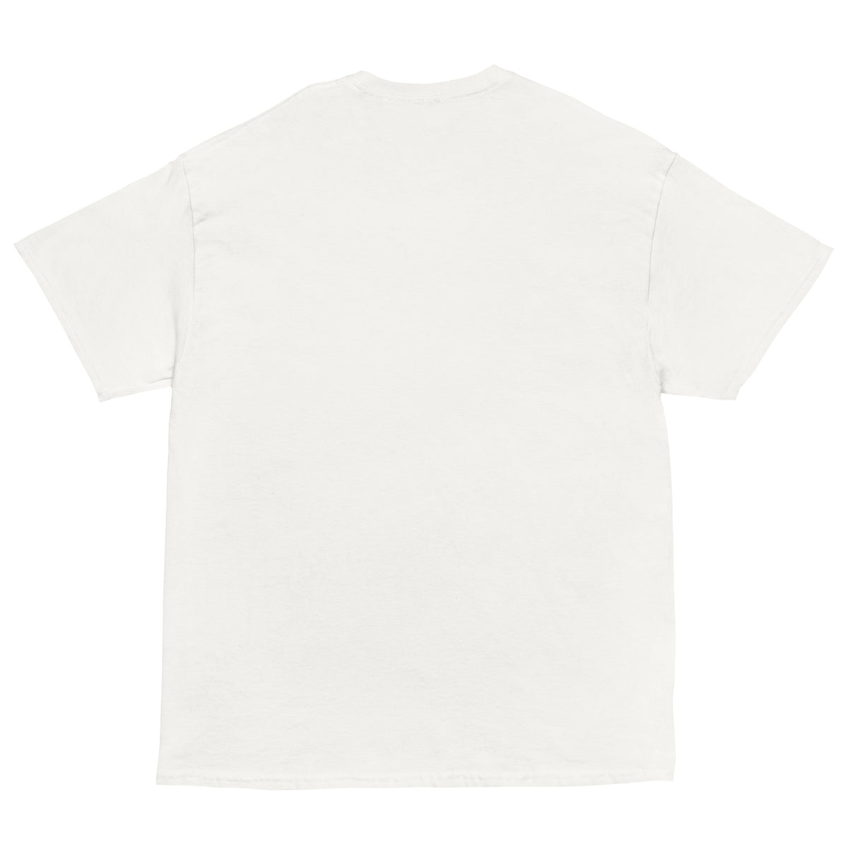 Unisex classic tee