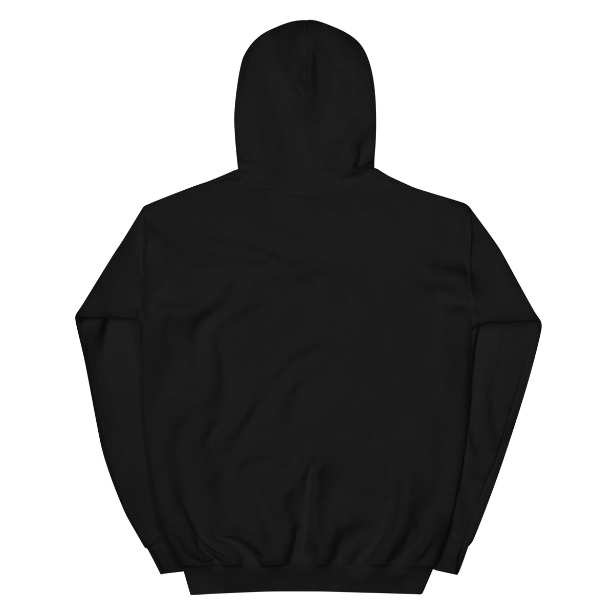 Noise Lab Black Pullover Hoodie in black, back view