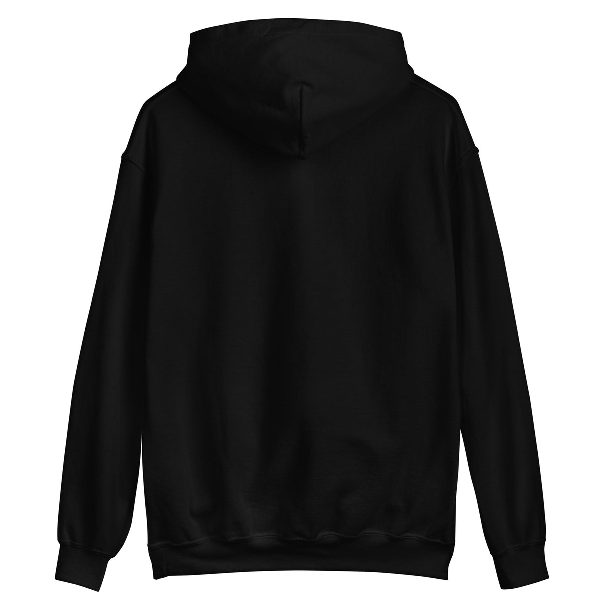 Noise Lab Black Pullover Hoodie in black, back view