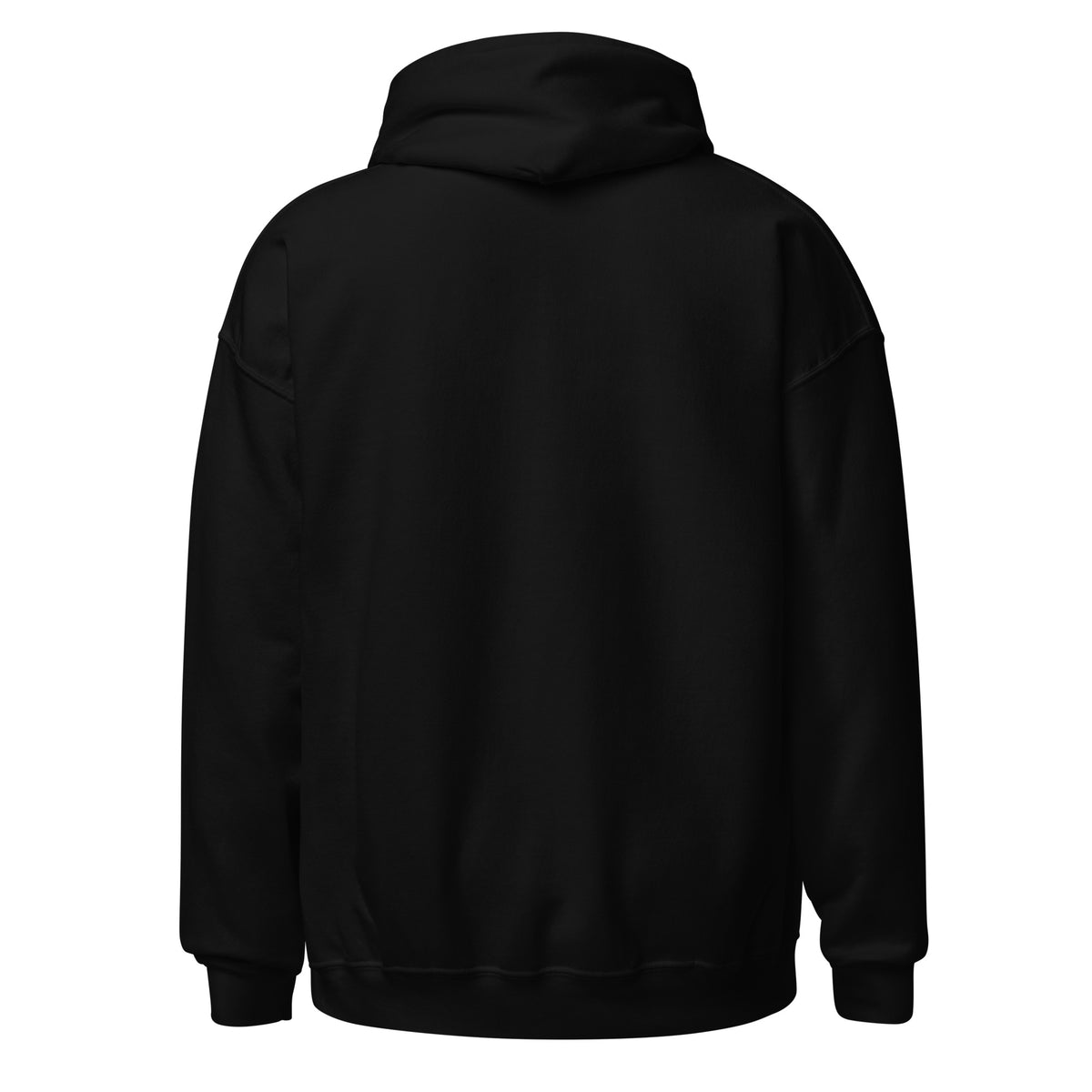 Noise Lab Black Pullover Hoodie in black, back view